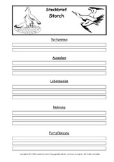 Steckbriefvorlage-Storch.pdf